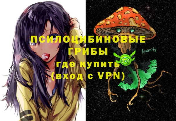 твердый Алзамай