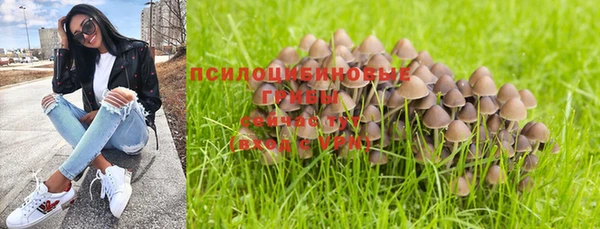 твердый Алзамай