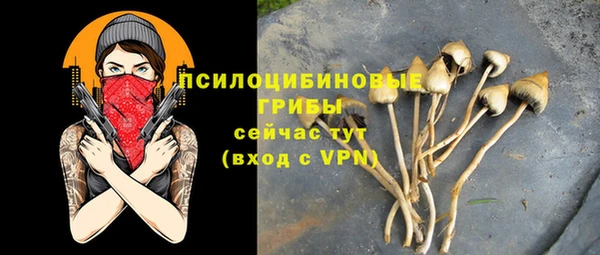 твердый Алзамай
