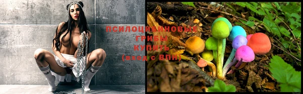 ГАЛЛЮЦИНОГЕННЫЕ ГРИБЫ Алексеевка