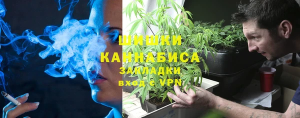 твердый Алзамай