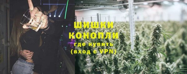 ГАЛЛЮЦИНОГЕННЫЕ ГРИБЫ Алексеевка