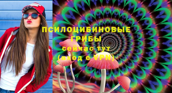 твердый Алзамай