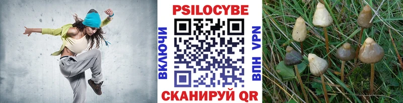 Галлюциногенные грибы GOLDEN TEACHER  Амурск 