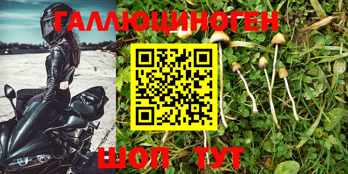 Амурск  Галлюциногенные грибы ЛСД  Вход с VPN  Псилоцибиновые грибы MAGIC MUSHROOMS 